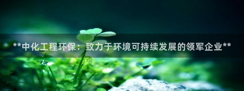 cmt彩名堂：**中化工程环保：致力