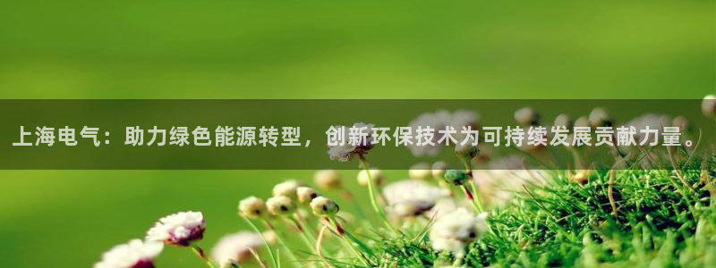彩名堂上推荐的几个平台怎样：上海电气