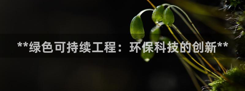 彩名堂用不了：**绿色可持续工程：环