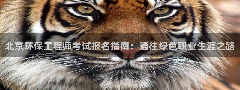 彩名堂免费计划使用方法：北京环保工程师考试报名指南：通往绿色