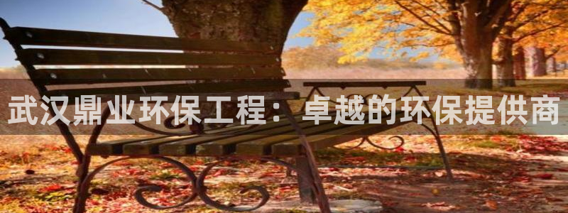 彩名堂加拿大怎么买准确率高：武汉鼎业环保工程：卓越的环保提供