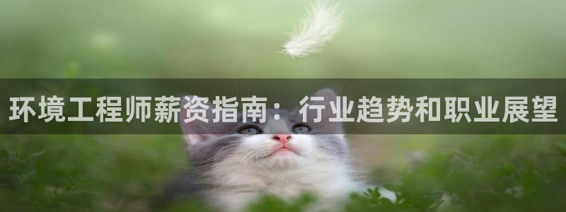 老版本彩名堂计划软件：环境工程师薪资指南：行业趋势和职业展望