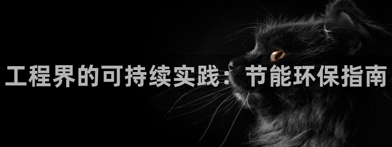 下载苹果手机版彩名堂：工程界的可持续实践：节能环保指南