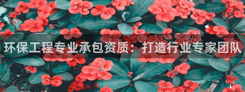 彩名堂v1.0.6：环保工程专业承包资质：打造行业专家团队