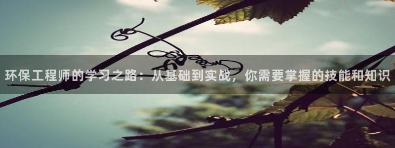 彩名堂计划软件下载：环保工程师的学习