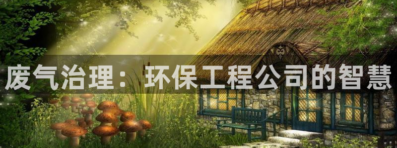 彩名堂人工计划客户端：废气治理：环保