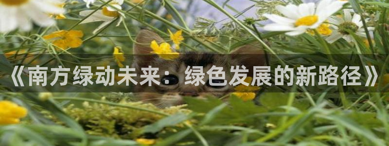 下载彩名堂预测计划软件安卓：《南方绿