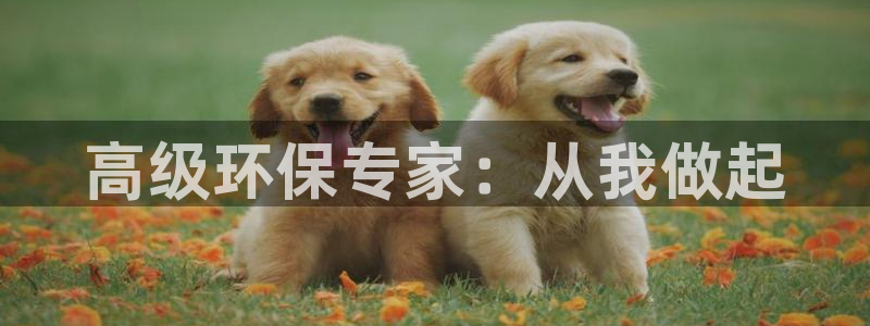 彩名堂官网计划怎么下载：高级环保专家