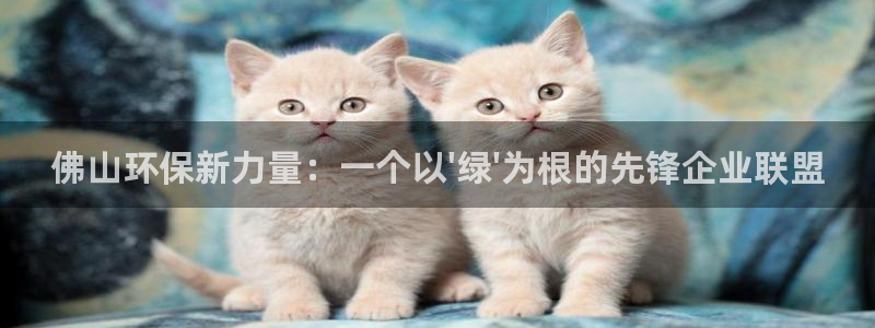 彩名堂怎么买准确率高：佛山环保新力量：一个以\'绿\'为根的