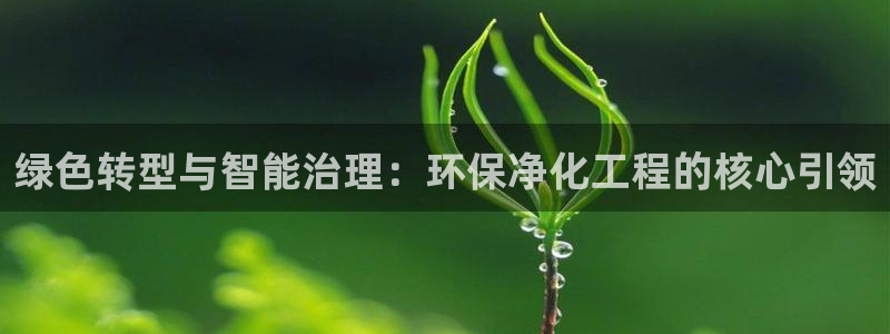 彩名堂app下载5.1.0：绿色转型与智能治理：环保净化工程