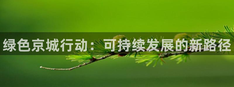 彩名堂免费计划使用方法是什么：绿色京城行动：可持续发展的新路