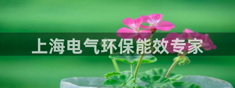 彩名堂为什么用不了了：上海电气环保能