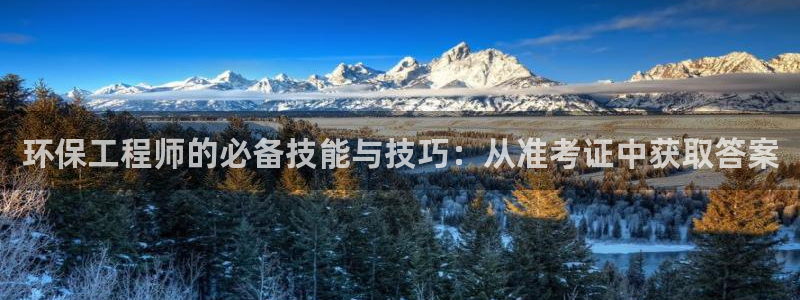 彩名堂客户端加拿大：环保工程师的必备技能与技巧：从准考证中获