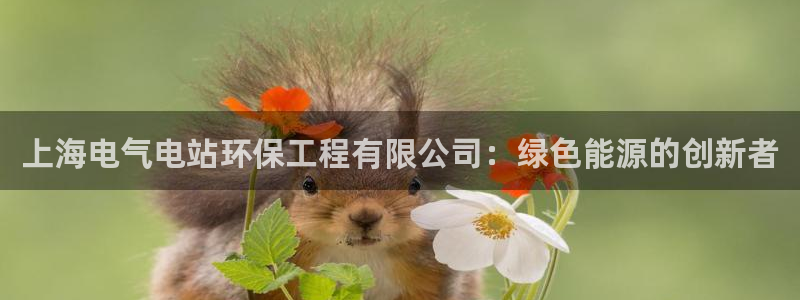 彩名堂加拿大怎么买准确率高：上海电气电站环保工程有限公司：绿