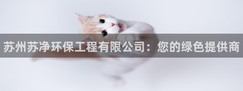 彩名堂官方软件下载：苏州苏净环保工程