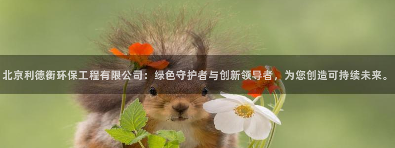 彩名堂官网计划：北京利德衡环保工程有