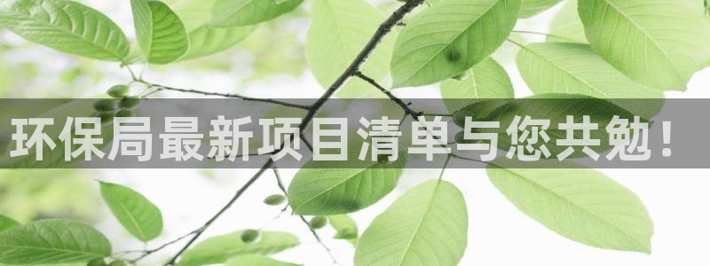 彩名堂好用还是千里马好用一点：环保局