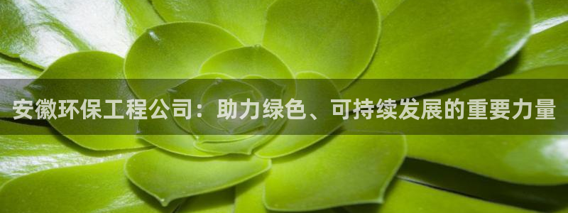 彩名堂官网计划怎么下载：安徽环保工程