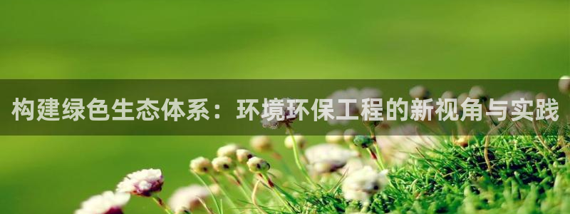 彩名堂人工计划怎么找不到下载了?：构