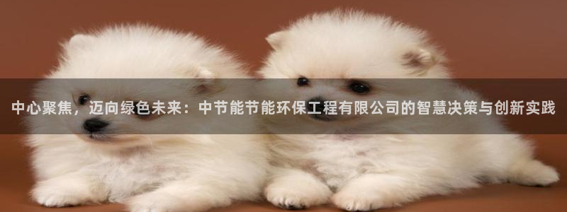 彩名堂计划怎么打不开了：中心聚焦，迈向绿色未来：中节能节能环