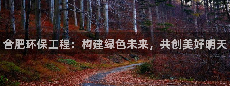为什么彩名堂今天不能用：合肥环保工程：构建绿色未来，共创美好