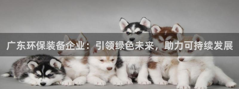 彩名堂手机版官网：广东环保装备企业：引领绿色未来，助力可持续
