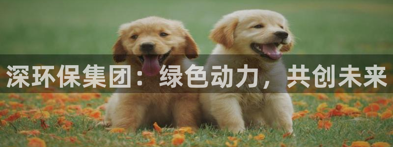 彩名堂计划怎么出的：深环保集团：绿色