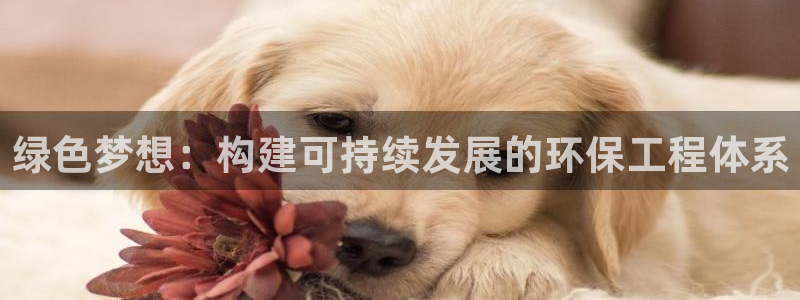 彩名堂客户端加拿大：绿色梦想：构建可