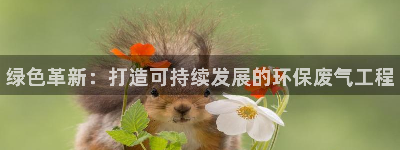 彩名堂官网在线计划：绿色革新：打造可持续发展的环保废气工程