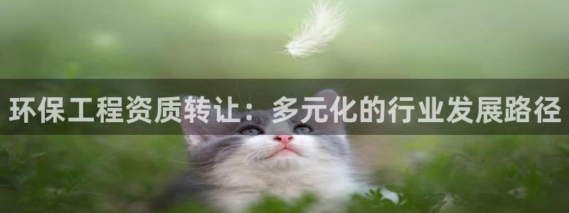 彩名堂计划技巧有哪些：环保工程资质转让：多元化的行业发展路径