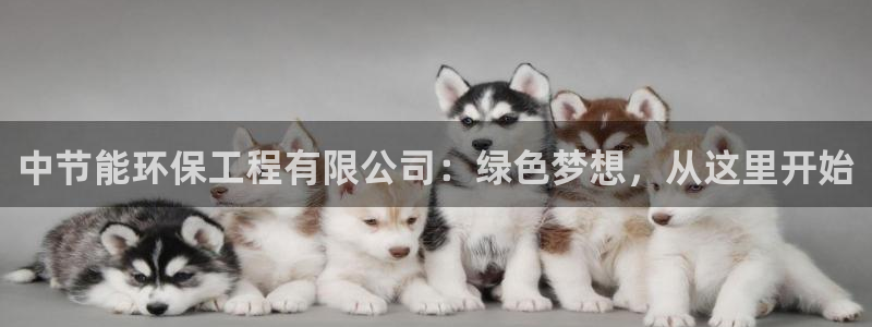 下载彩名堂预测计划软件安全吗：中节能环保工程有限公司：绿色梦