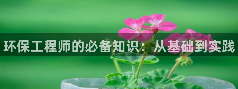 彩名堂为什么突然不能用了：环保工程师