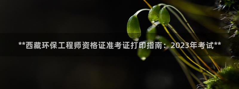 彩名堂怎么打不开了：**西藏环保工程
