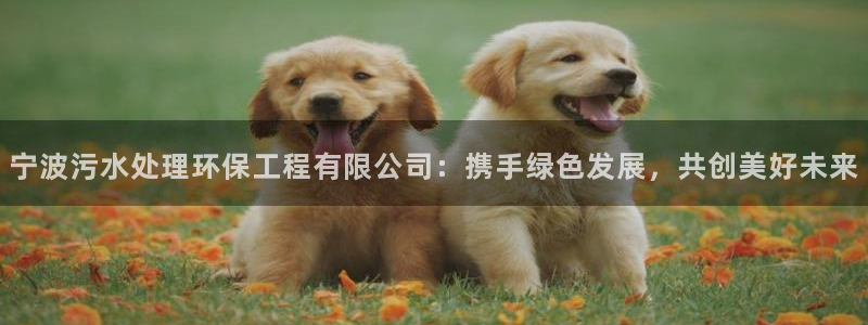 彩名堂预测计划软件：宁波污水处理环保
