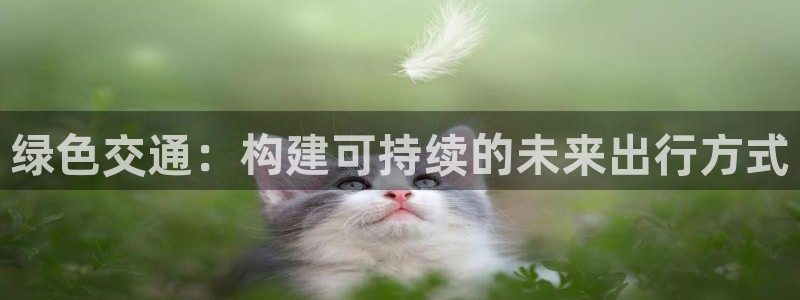 彩名堂是不是坑人的东西：绿色交通：构