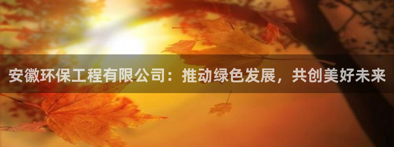 彩名堂为什么突然不能用了：安徽环保工程有限公司：推动绿色发展，共创美好未来