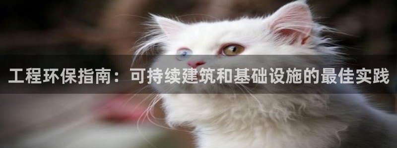 彩名堂人工计划客户端官网：工程环保指