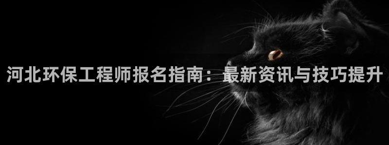 彩名堂双彩网：河北环保工程师报名指南