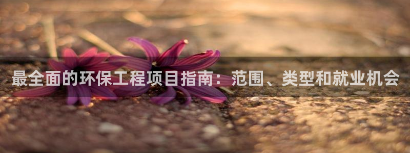 老版彩名堂：最全面的环保工程项目指南