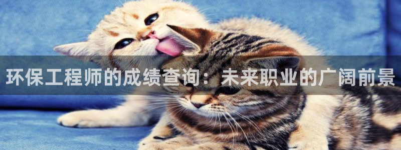 彩名堂官网计划01：环保工程师的成绩