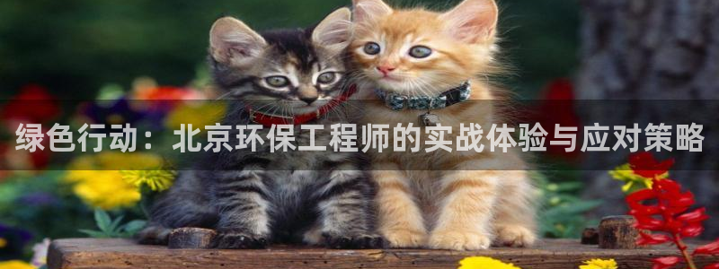 彩名堂是正规的公司吗：绿色行动：北京环保工程师的实战体验与应