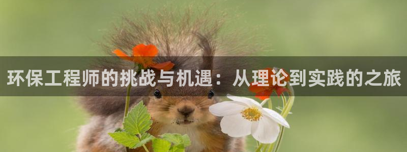 彩名堂预测官网：环保工程师的挑战与机