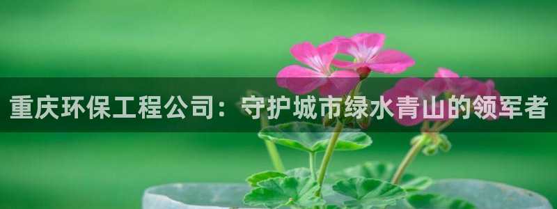 最新彩名堂计划：重庆环保工程公司：守