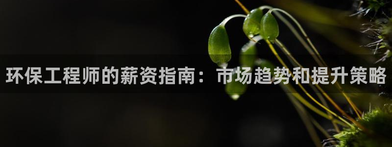 彩名堂计划和01计划怎么很稳：环保工