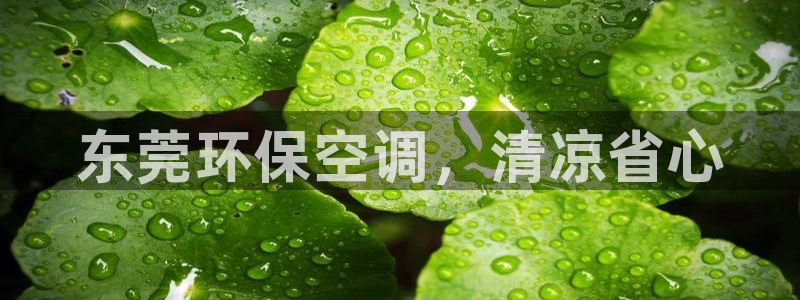 彩名堂官网计划怎么下载：东莞环保空调