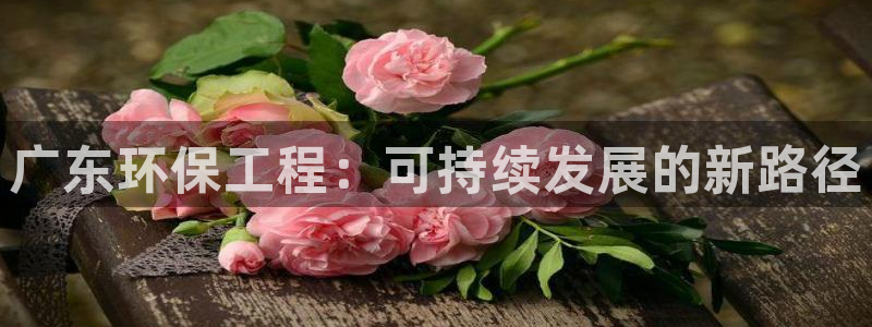 彩名堂免费计划亮点：广东环保工程：可