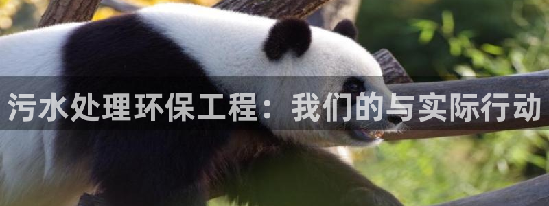 彩名堂app官网：污水处理环保工程：