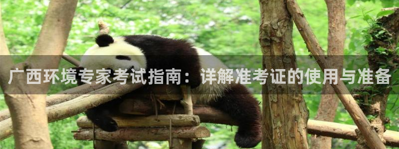 彩名堂手机客户端怎么下载：广西环境专