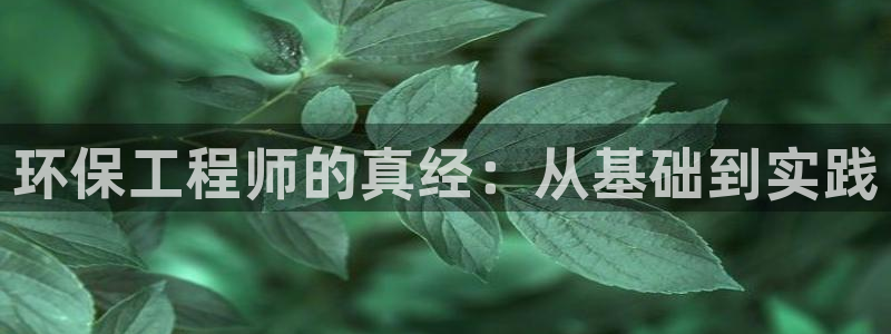 老版本彩名堂计划软件：环保工程师的真