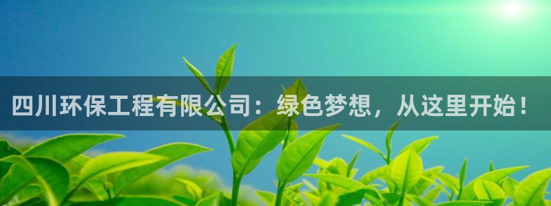 彩名堂不能用了吗：四川环保工程有限公